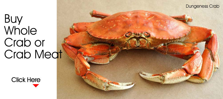 Buy a Whole Dungeness Crab or Crab Meat