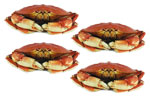 FOUR Whole Dungeness Crabs